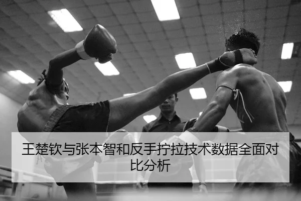 wang-chu-qin-yu-zhang-ben-zhi-he-fan-shou-ning-la-ji-shu-shu-ju-quan-mian-dui-bi-fen-xi-2-430.jpg